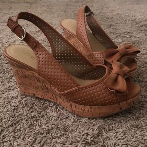 APT9 Brown wedges
